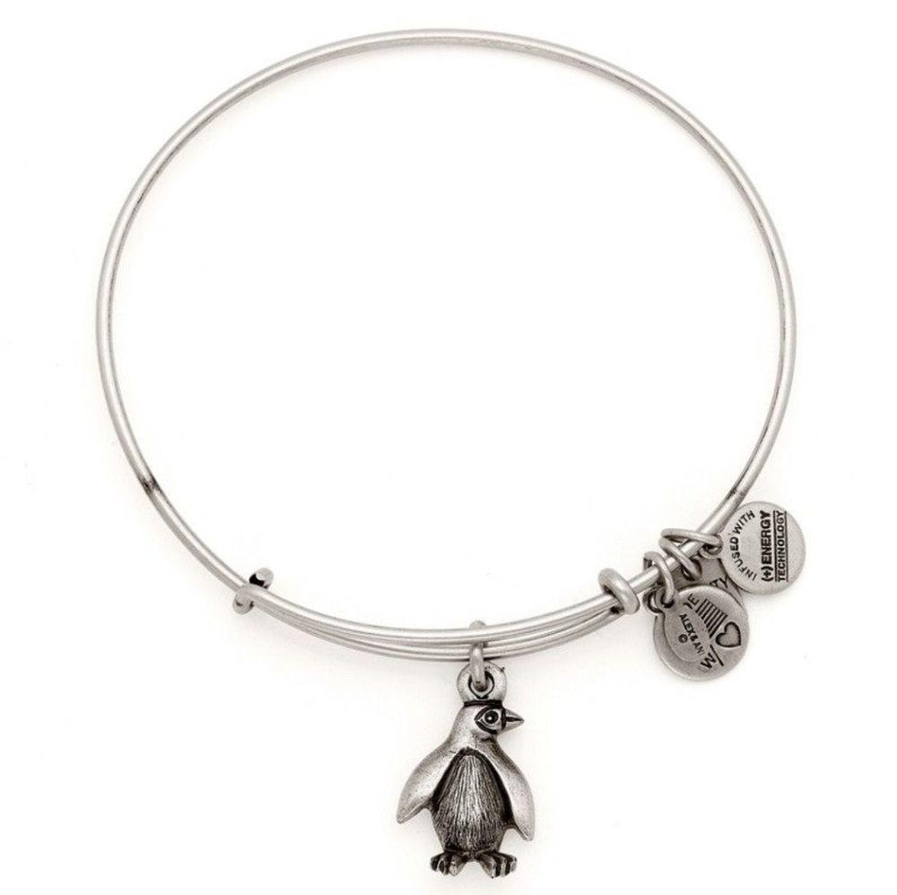 Alex and Ani Charity Penguin Charm Bracelet